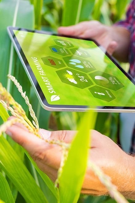 empresa agrícola innovadora